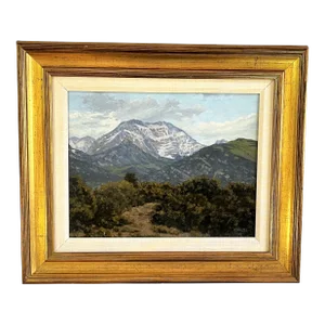 Original Stephen Smalzel Framed Oil Painting on Board 'Rocky Mountains'