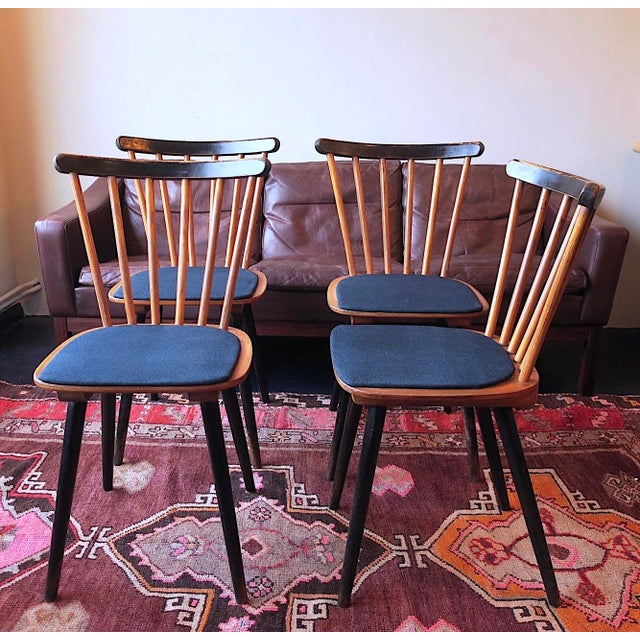 Mid-Century Dining Chairs with Splayed Legs and Navy Blue Seats, Set of 4 For Sale - Image 12 of 12