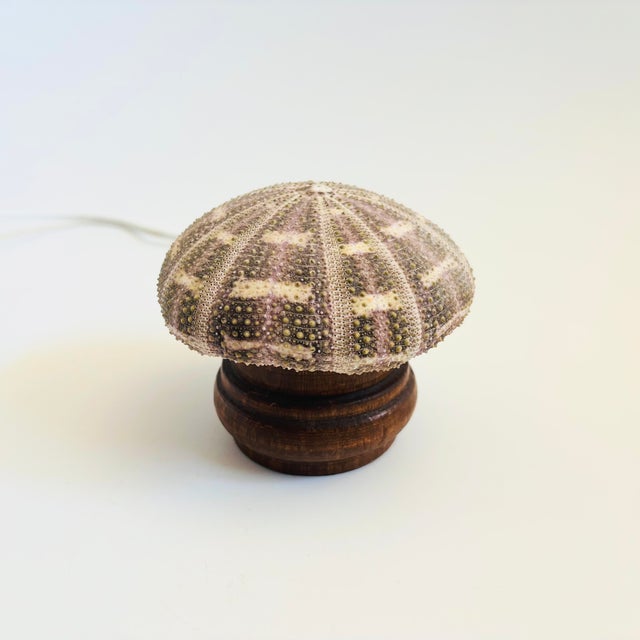 Vintage Sea Urchin Lamp For Sale - Image 4 of 10