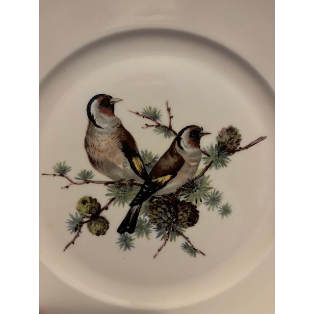 1950s Mid Century Jkw Western Germany Porcelain Song Bird Plates, Set of 6 For Sale - Image 5 of 12