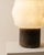 Papyrus Alabaster Table Lamp by Luis Gimeno For Sale - Image 9 of 9