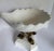 1960s Hollywood Regency Dolphin Pedestal Seashell Centerpiece Bowl For Sale - Image 9 of 12