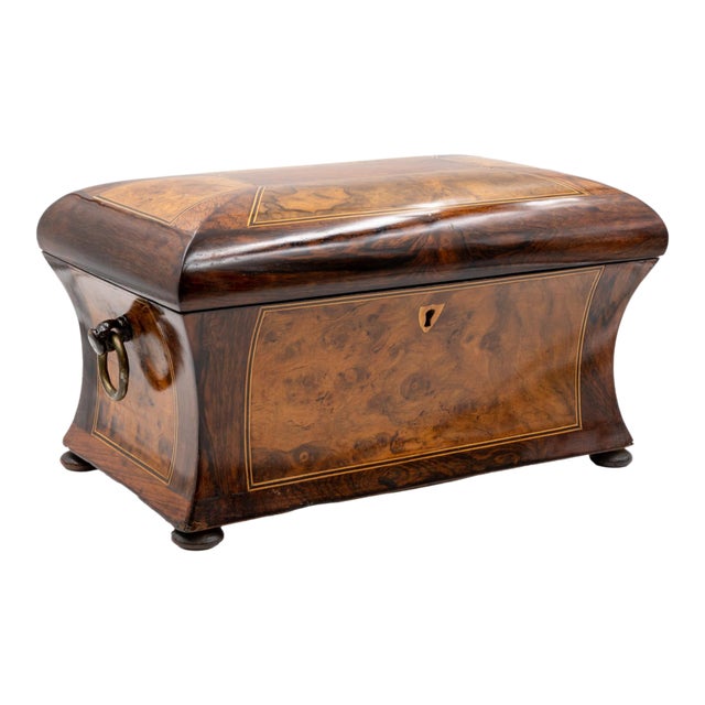 Mid 19th Century William IV Dome Top Bombé Box in Burl Walnut With Boxwood Stringing For Sale
