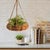 Rustic Rattan Hanging Basket For Sale - Image 3 of 3