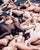 American Spencer Tunick Nude Installation C-Print For Sale - Image 3 of 6