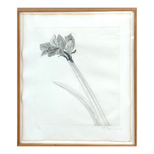 Ed Baynard, Zen Minimalist Flowers Aquatint Etching American Modernist Ed Baynard Pop Art