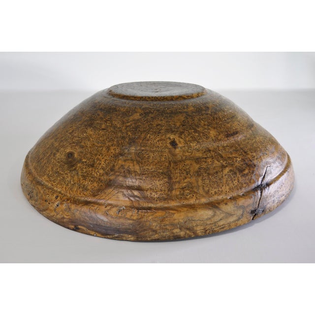 Monumental 18th Century American Burlwood Bowl, Virtually Untouched Historical Significance For Sale - Image 4 of 12