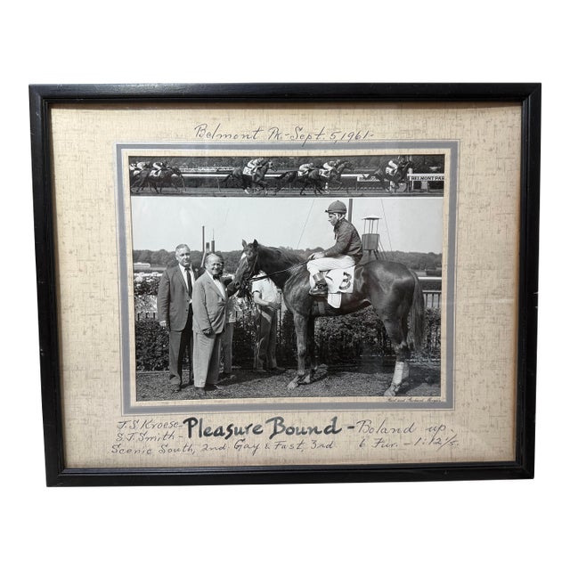 Vintage 61 Original Bert Morgan P Bound Belmont Horse Racing Jockey Photograph For Sale