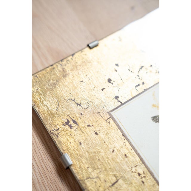 Still Lifes, 1970-1980, Watercolor and Gold Leaf, Set of 2 For Sale - Image 15 of 17