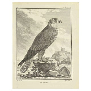 Bernard Baron, Le Sacre, Etching, 1771 For Sale