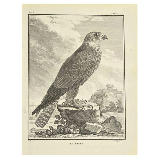 Bernard Baron, Le Sacre, Etching, 1771 For Sale