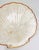 Mid 20th Century Capiz Shell Scallop Shell Tray With Brass Trim Large 11" For Sale - Image 4 of 7