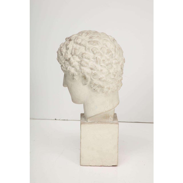 Early 20th Century Plaster Bust For Sale - Image 5 of 7