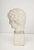 Early 20th Century Plaster Bust For Sale - Image 5 of 7