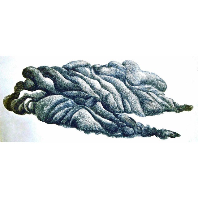 Blue Cloud - Original Etching by Giacomo Porzano - 1972 1972 For Sale - Image 6 of 6