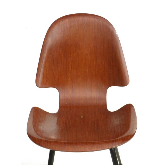 1950s Italian Plywood Dining Chair by Carlo Ratti for Compensati Curvati, 1950s For Sale - Image 5 of 7