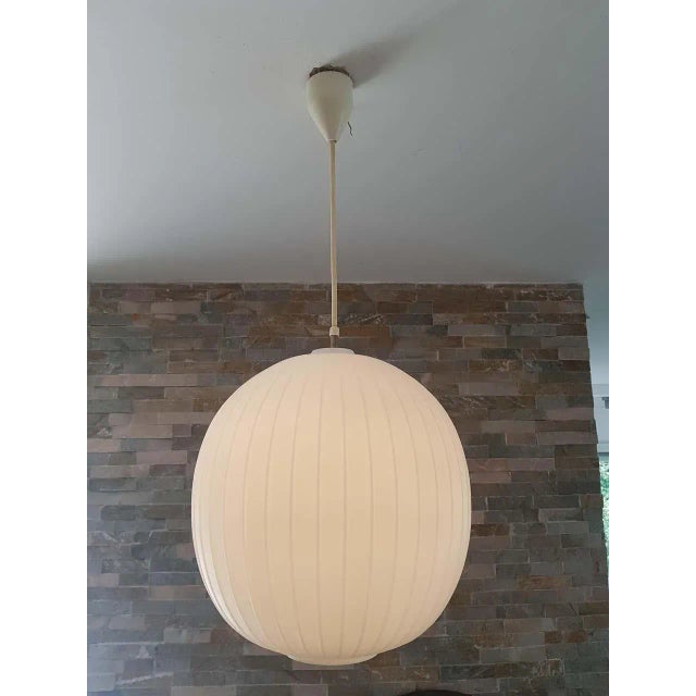 Bologna Pendant Lamp by Aloys Gangkofner for Peill & Putzler, 1950s For Sale - Image 13 of 18