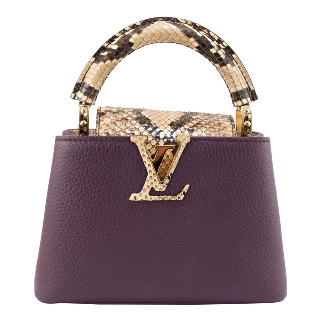 Louis Vuitton Capucines Mini Taurillon Leather Python Gold Hardware Tote Bag For Sale
