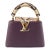 Louis Vuitton Capucines Mini Taurillon Leather Python Gold Hardware Tote Bag For Sale