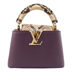 Louis Vuitton Capucines Mini Taurillon Leather Python Gold Hardware Tote Bag