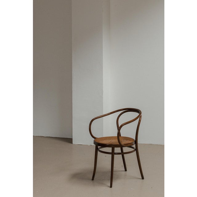 Model 209 Dining Chairs from Thonet, 1960s, Set of 6 For Sale - Image 3 of 13
