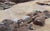 Contemporary Amidst the Rocks and Reflections by Jon Doran | Oil on Panel Cornish Beach at Low Tide For Sale - Image 4 of 10