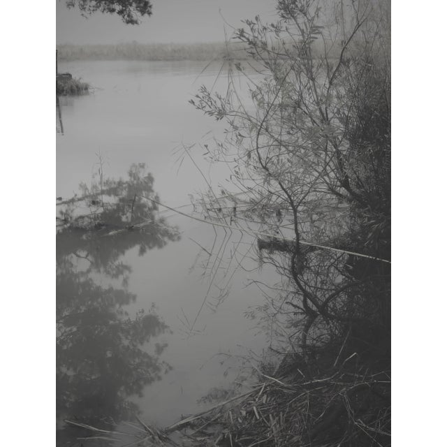 Chelsea Fly - Photograph #5 Hidden Marsh 30”W x 40”H Framing not included.