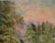 Vintage 1920's California landscape of a path through tall evergreen trees with the grand Sierra mountains in the...