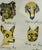 Greer McGettrick Dogs Print For Sale - Image 9 of 12