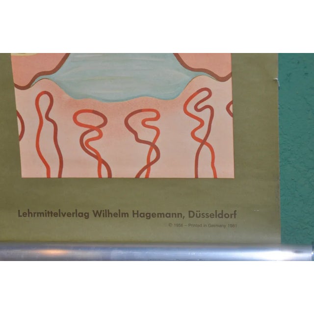 German School Print in Leather Edition, 1981 For Sale - Image 6 of 9