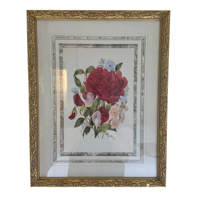 Botanical Print For Sale