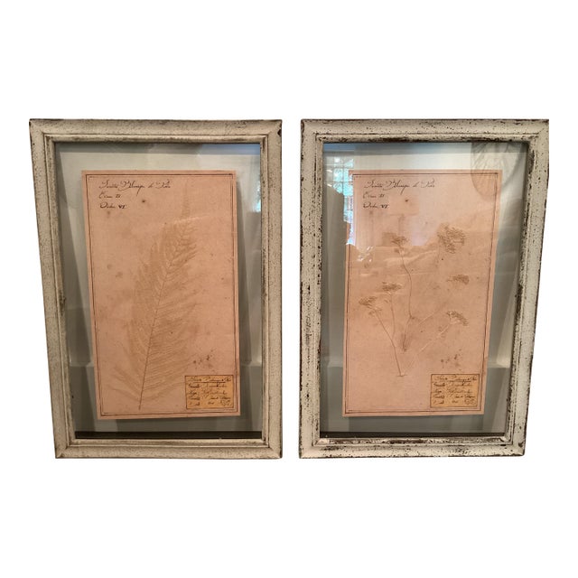 Restoration Hardware Framed Botanical Pressings, Set of 2 For Sale