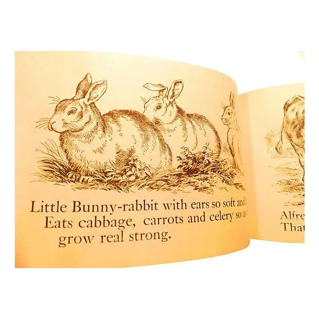 My Book of Surprise Animals, C. 1890 For Sale - Image 4 of 8