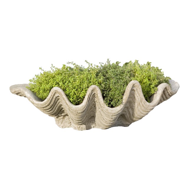 South Seas Planter For Sale