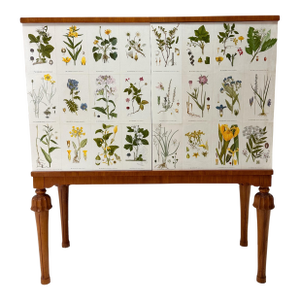1940’s Swedish Cabinet With Nordens Flora Illustrations
