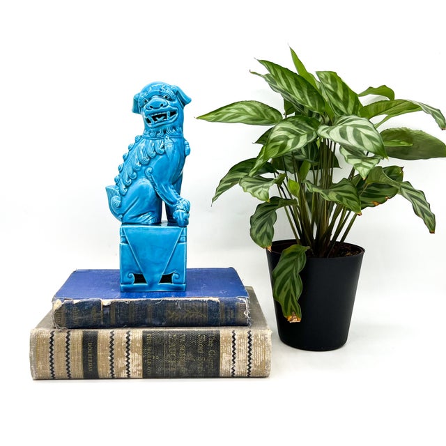 Striking vintage Chinese turquoise glazed foo dog, finely modeled with an expressive face, curled mane, and intricate...