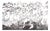 Chinoiserie Black Hand-Painted Wallpaper, Floral & Bird Mural Wall Panels, Set of 6 For Sale