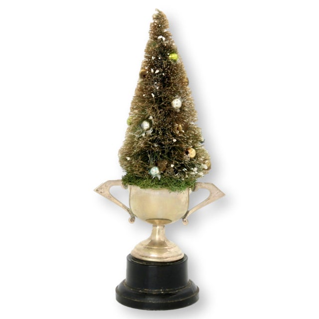 Mid 20th Century Bottlebrush Tree in 1957 Trophy For Sale - Image 5 of 5