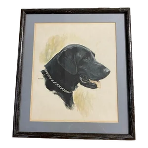 1950s Black Labrador Portrait Drawing by Elliott