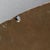 1970s Round Bronze Sculpture of Bird For Sale - Image 4 of 5