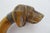 Victorian Dog With Collar Inset Eyes Carved Wood Folk Art Walking Stick Cane For Sale - Image 4 of 10