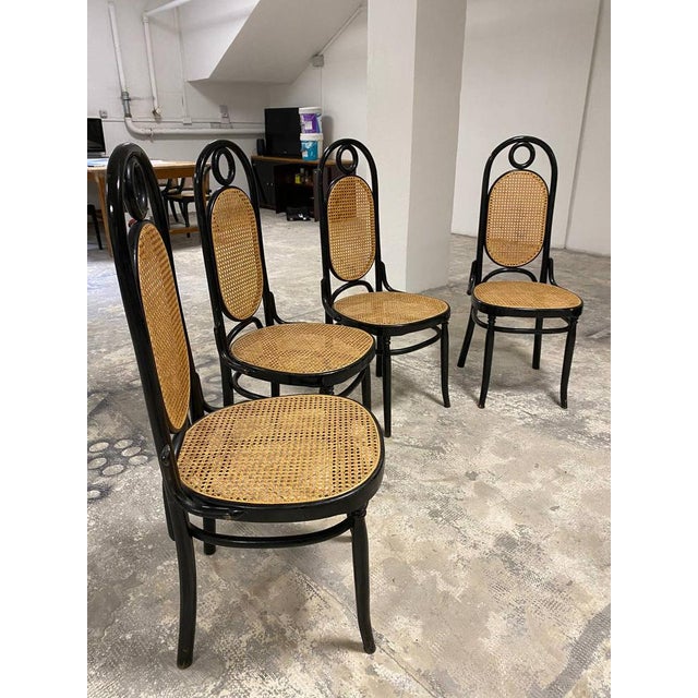The Thonet style chairs enchant with their timeless design: expertly crafted in curved and steamed beech wood, they show...