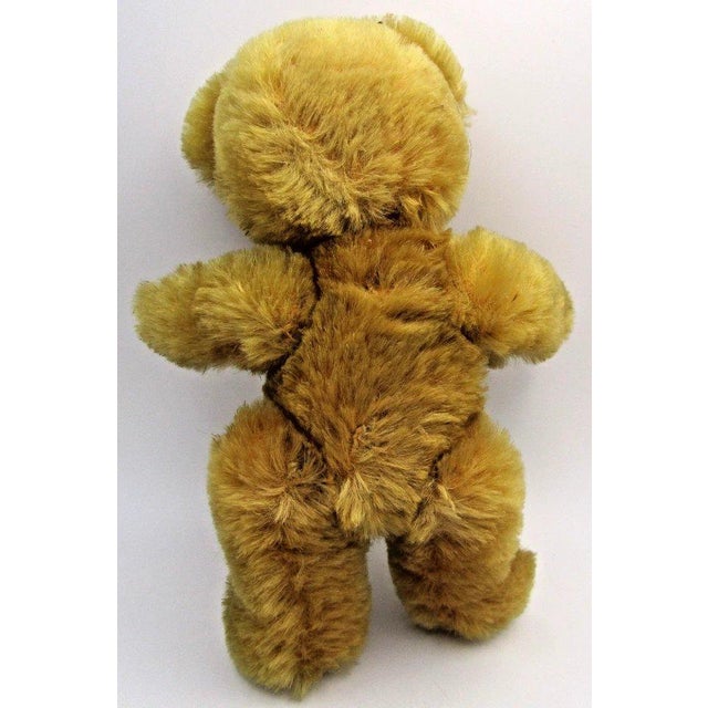 1960s Uk Farnell Golden Mohair Bear With Working Squeak Box Excellent Condition For Sale - Image 9 of 9