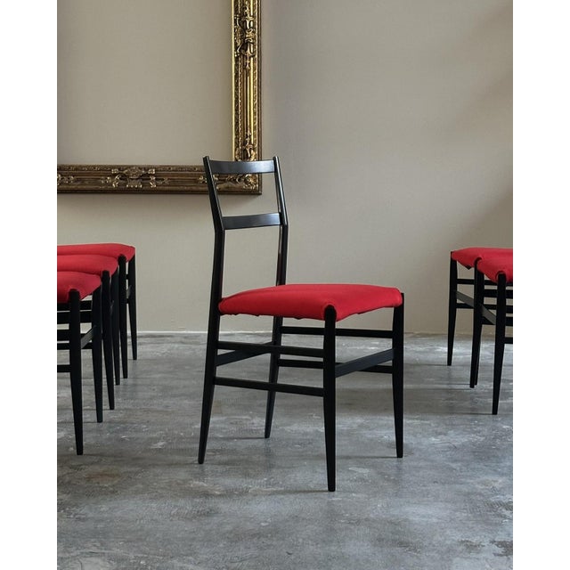 Mid-Century Modern Vintage Superleggera Chairs by Gio Ponti for Cassina, 1950s, Set of 6 For Sale - Image 3 of 12