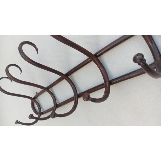 Vintage Wall Coat Rack in Bentwood, 1950s For Sale - Image 4 of 6