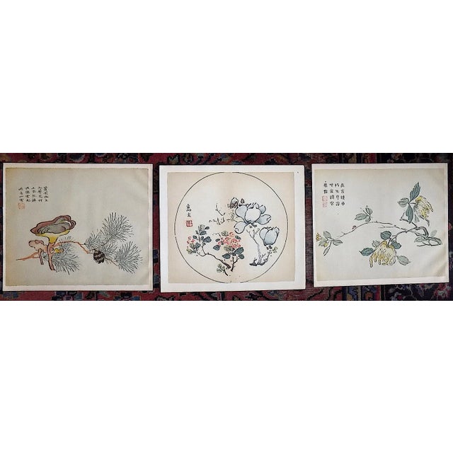 Vintage Signed Chinese Botanical Color Lithographs - Set of 3 For Sale - Image 9 of 9