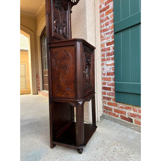 Antique French Breton Hall Cabinet Tall Narrow Carved Crown Bookcase C1880 For Sale - Image 18 of 18
