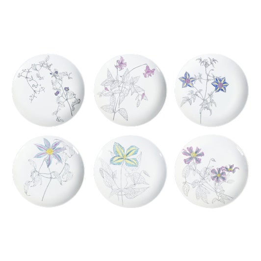 Vintage Plates in Porcelain, Set of 6 For Sale