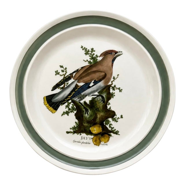 Vintage Portmeirion Birds of Britain Jay - Green Band Salad Plate For Sale
