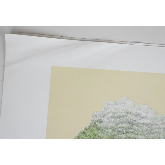 1970s 1974 Mel Hunter Arabian Horse Lithograph For Sale - Image 5 of 5